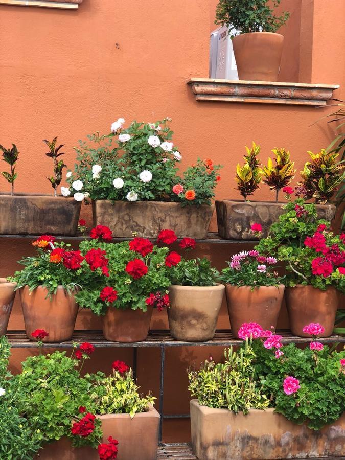 Xacalli Hotel San Miguel de Allende Ngoại thất bức ảnh