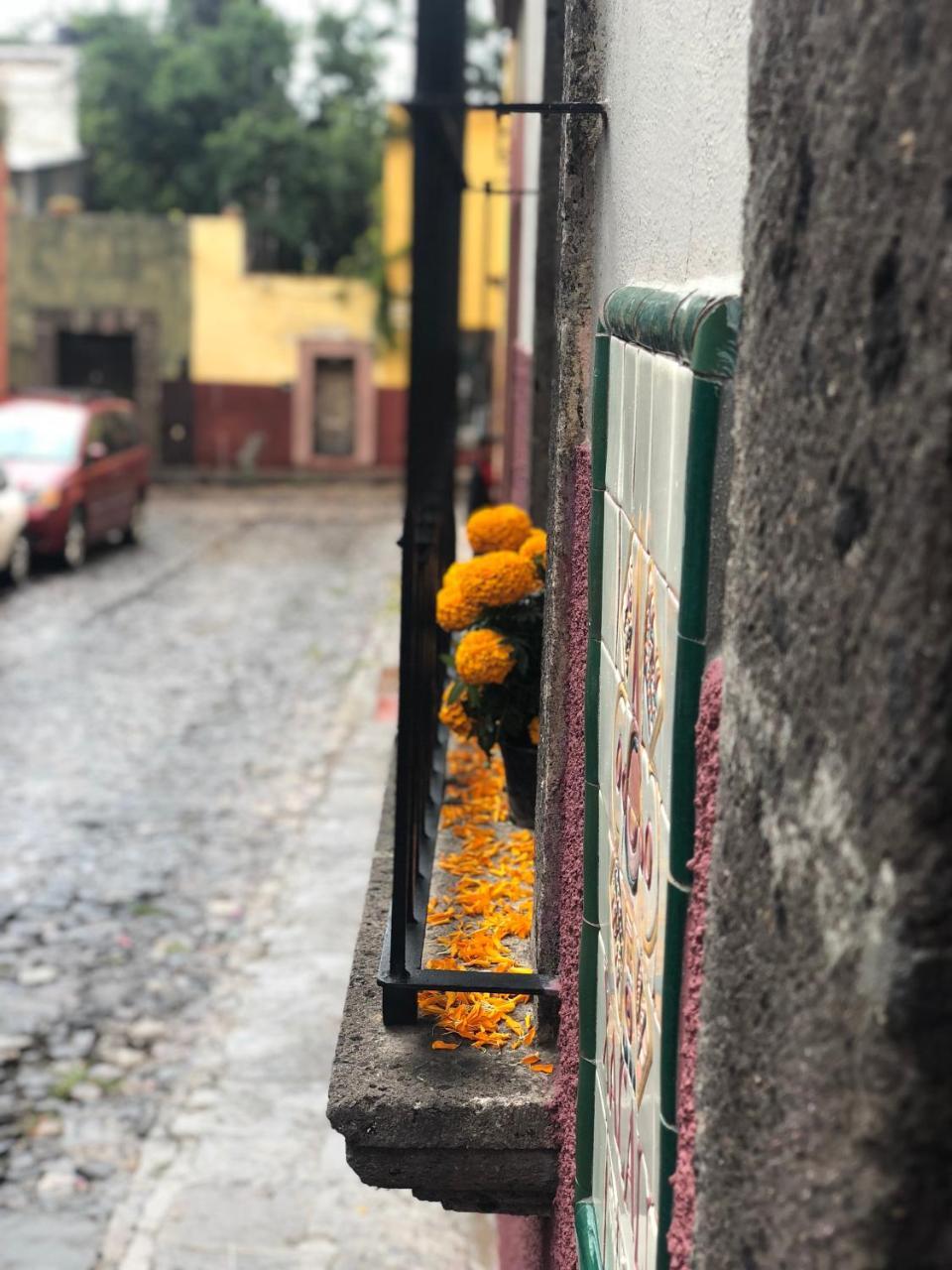 Xacalli Hotel San Miguel de Allende Ngoại thất bức ảnh